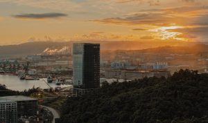 WhatsApp Image 2025-10-20 at 11.59.08